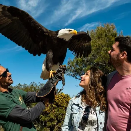 Costa Del Sol Luxury 1-d * Benalmádena